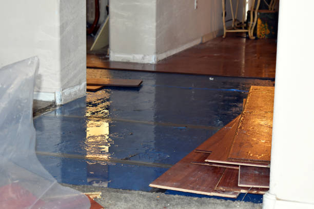 Professional Water Damage Restoration technician working in Maribel, WI